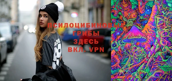 ECSTASY Новозыбков
