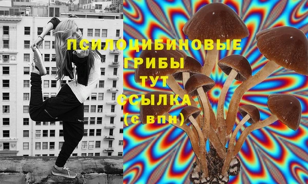 МДПВ Нефтекумск