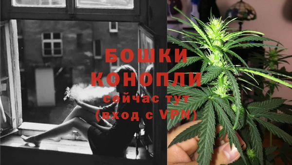 ПСИЛОЦИБИНОВЫЕ ГРИБЫ Нея