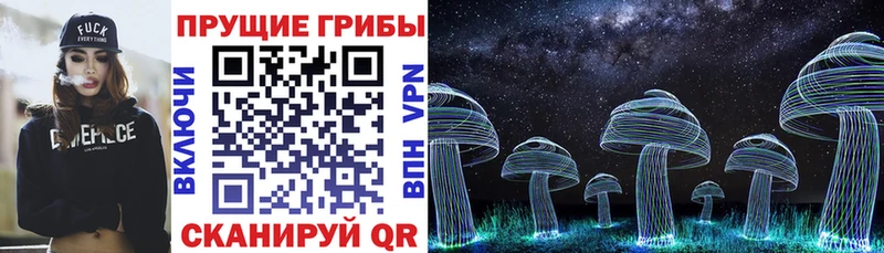 купить наркотик  Каменка  Псилоцибиновые грибы мицелий 