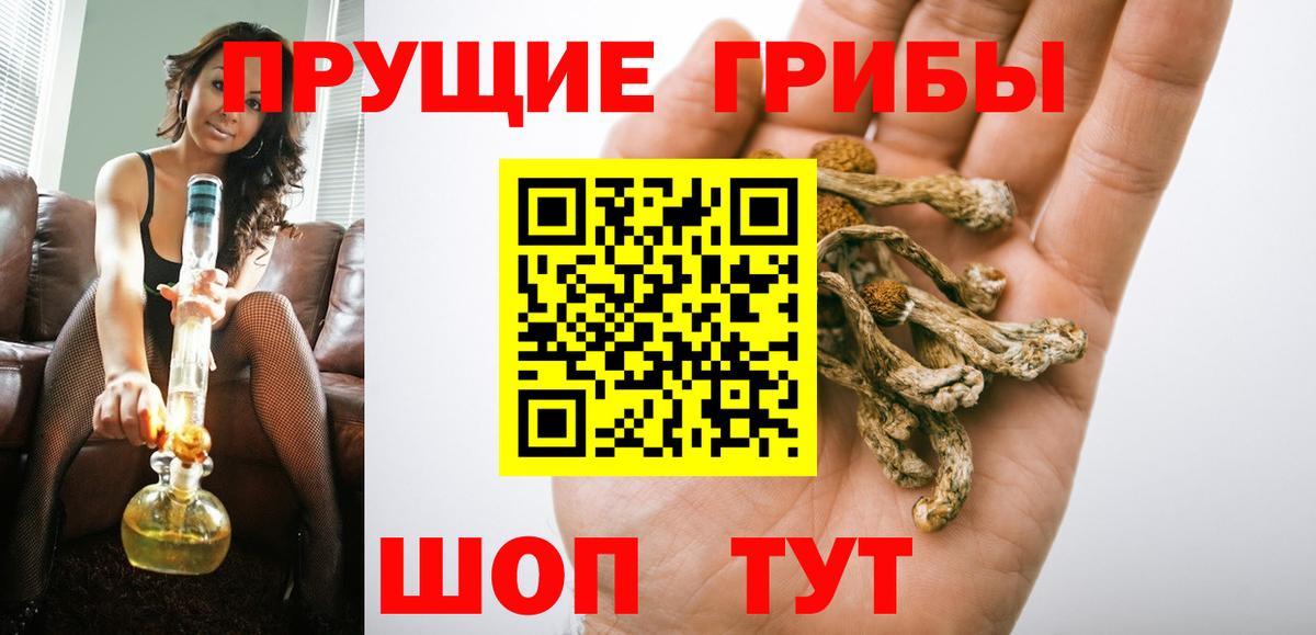 Псилоцибиновые грибы мухоморы  Псилоцибиновые грибы Psilocybine cubensis  Каменка  Вход с VPN 